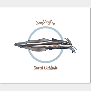 Coral Catfish Posters and Art